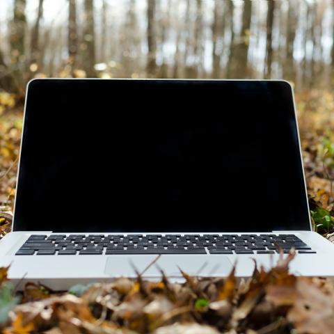 Laptop in het bos
